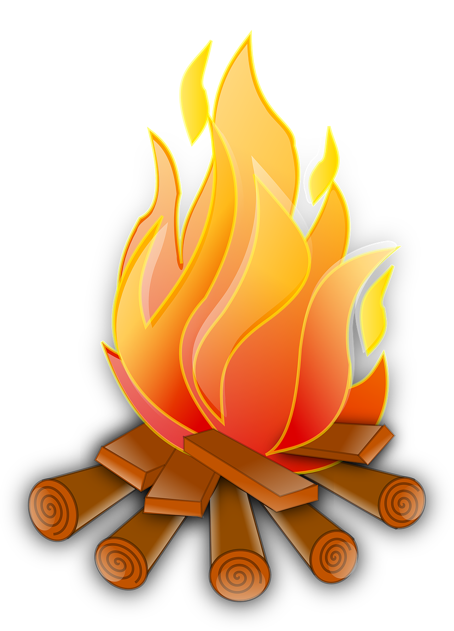 Combustion and Flame